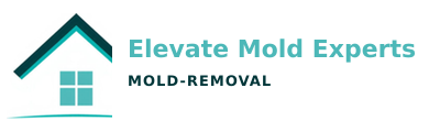Elevate Mold Experts